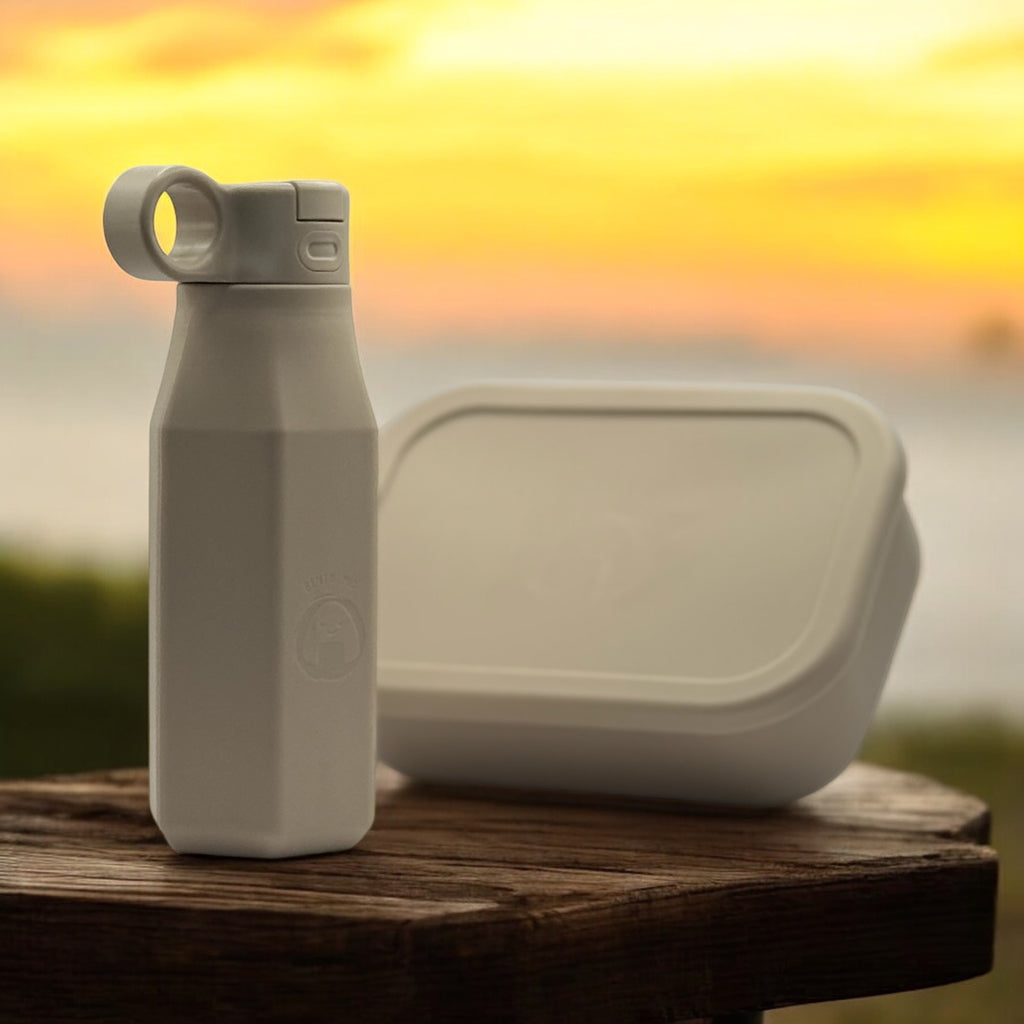 Lunch Box Set Bento Box and Water Bottle